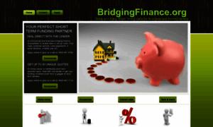 Bridgingfinance.org thumbnail