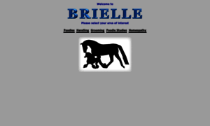 Brielle.ca thumbnail