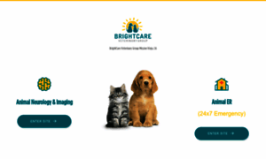 Brightcarevet.com thumbnail