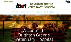 Brightongreensvet.com thumbnail