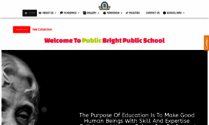 Brightpublicschool.edu.in thumbnail