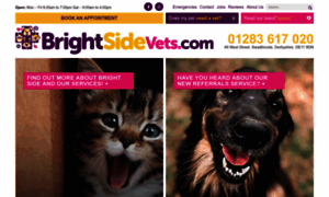 Brightsidevets.com thumbnail