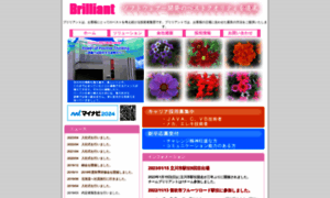 Bril.co.jp thumbnail