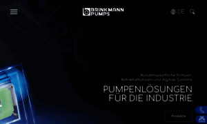 Brinkmannpumps.de thumbnail