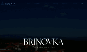 Brinovka.com thumbnail
