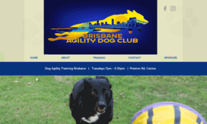 Brisbaneagilitydogs.com thumbnail