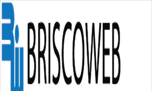 Briscoweb.bomgar.com thumbnail