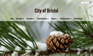 Bristolsd.com thumbnail