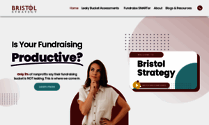 Bristolstrategygroup.com thumbnail