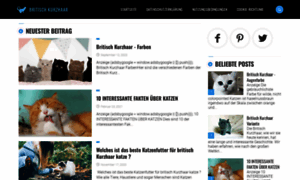 Britischkurzhaarkatze.com thumbnail