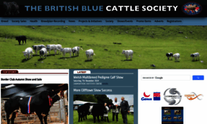 Britishbluecattle.org.uk thumbnail