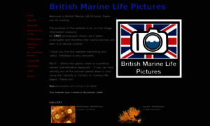 Britishmarinelifepictures.co.uk thumbnail