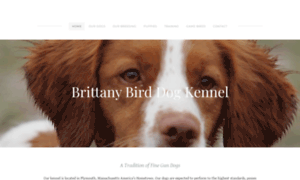 Brittanybirddogkennel.com thumbnail