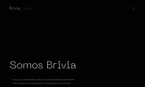 Briviagroup.com.br thumbnail