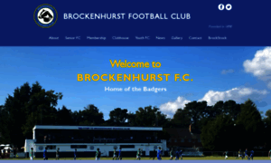 Brockenhurstfc.co.uk thumbnail