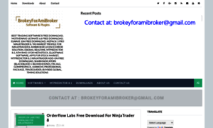 Brokeyforamibroker.blogspot.in thumbnail