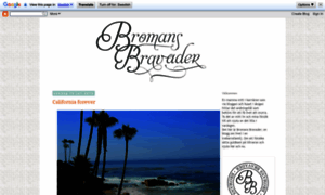 Bromansbravader.blogspot.se thumbnail