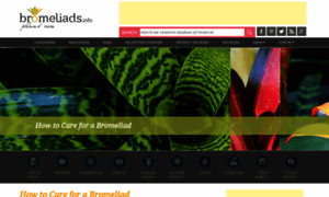 Bromeliads.info thumbnail