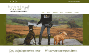 Brontecanineservices.co.uk thumbnail