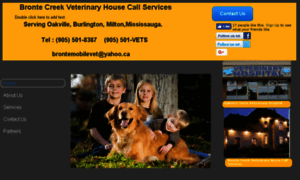 Brontemobilevet.com thumbnail