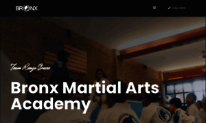 Bronxmartialarts.com thumbnail