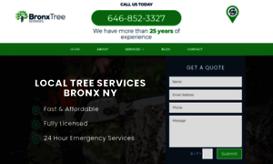 Bronxtreeservices.com thumbnail