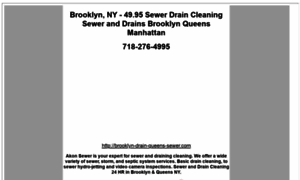 Brooklyn-drain-queens-sewer.com thumbnail