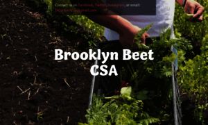 Brooklynbeet.com thumbnail