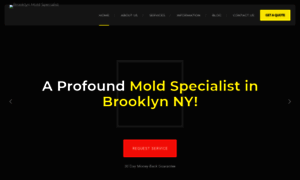 Brooklynmoldspecialist.com thumbnail