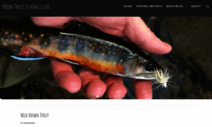 Brooktroutfishingguide.com thumbnail