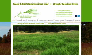 Brosigbdahlgrassseed.com thumbnail