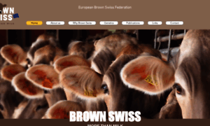 Brown-swiss.org thumbnail