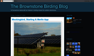 Brownstonebirder.blogspot.com thumbnail