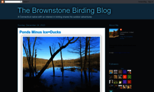 Brownstonebirder.blogspot.nl thumbnail