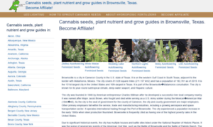 Brownsvillecannabis.ml thumbnail