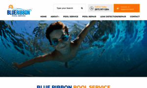 Brpoolservice.com thumbnail