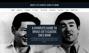 Bruceleechinesegungfubook.com thumbnail