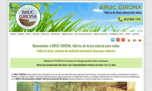 Brucgirona.com thumbnail