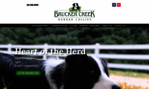 Bruckercreekbordercollies.com thumbnail
