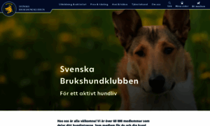 Brukshundklubben.se thumbnail