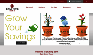Bruningbank.com thumbnail