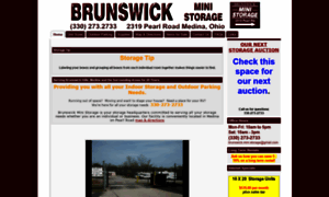 Brunswickministorage.com thumbnail