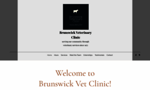 Brunswickvetclinic.com thumbnail