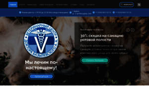 Bryansk.vet-centre.ru thumbnail