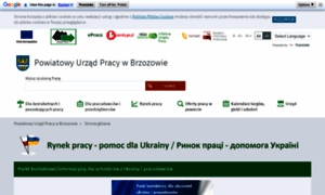 Brzozow.praca.gov.pl thumbnail