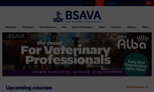Bsava.com thumbnail