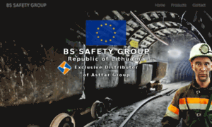 Bssafetygroup.com thumbnail