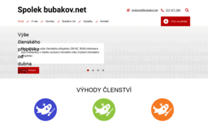Bubakov.net thumbnail