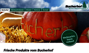 Bucherhof.info thumbnail