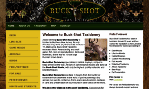 Buck-shottaxidermy.com thumbnail